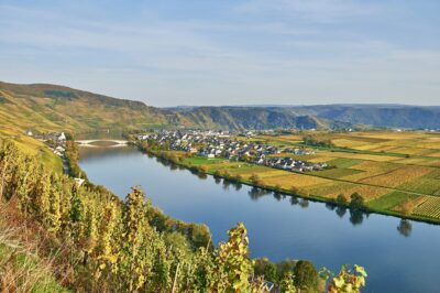 Weinberg Piesporter Goldtröpfchen